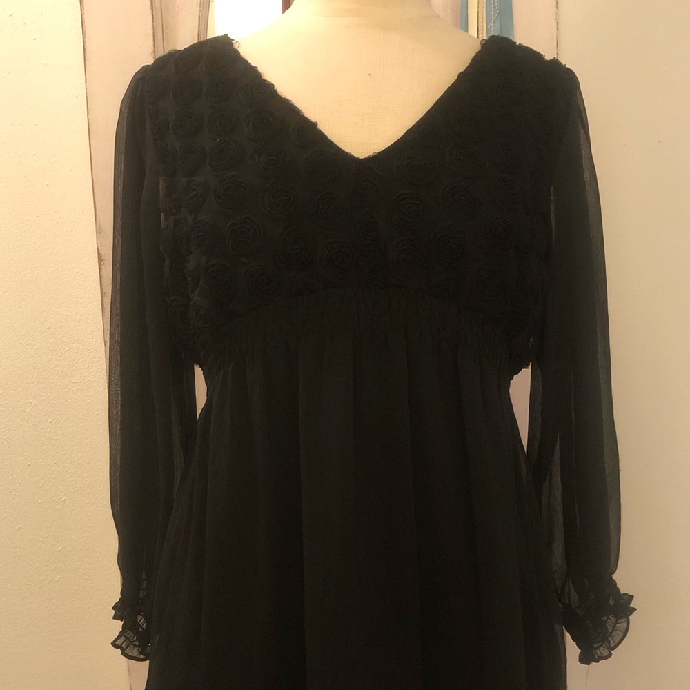 Black with rose covered bodice and sheer long sleeves made from rayon